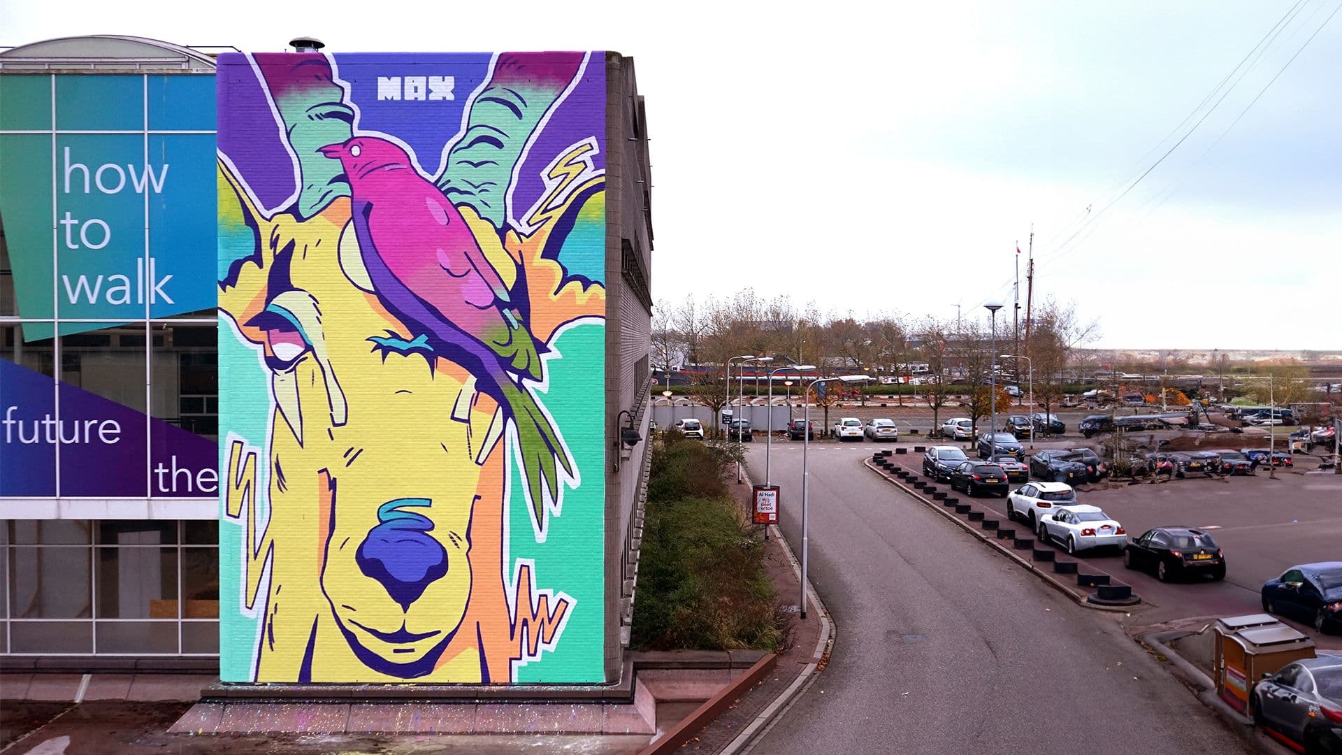 In the case of the domino sparrow, I have dealt with the unfortunate event of the union of human and animal. On this wall, I focus on the peaceful bond between one animal and another. Unlike humans, they seem to have found a nice way to live together.